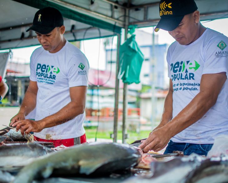 Peixe Popular: Mais de 22 toneladas de pescado foram comercializadas em dois dias